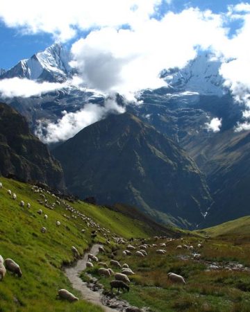 Annapurna Base Camp Trekking